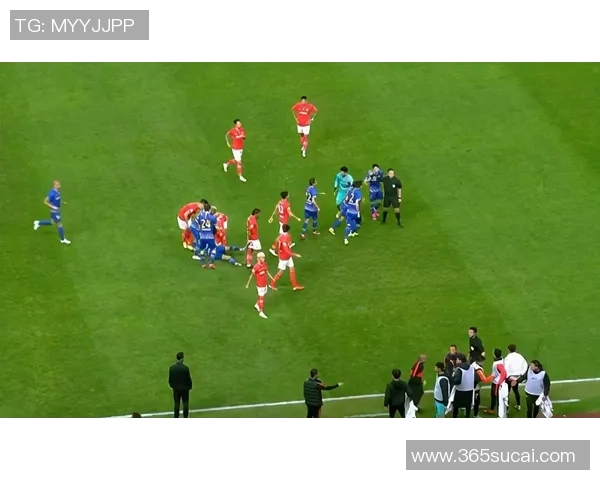 西甲激战莱比锡险胜里昂争议判罚引发全场热议