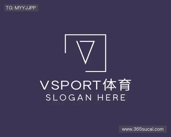 了解VSport