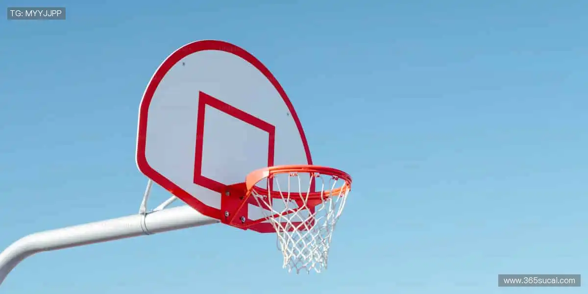 👑冠军同款，把胜利带回家！🏅